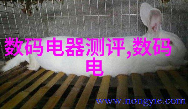 江西财经大学研究生院探秘学术殿堂背后的成长密码