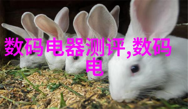 北森人才测评体系揭秘人力资本的多维度评估