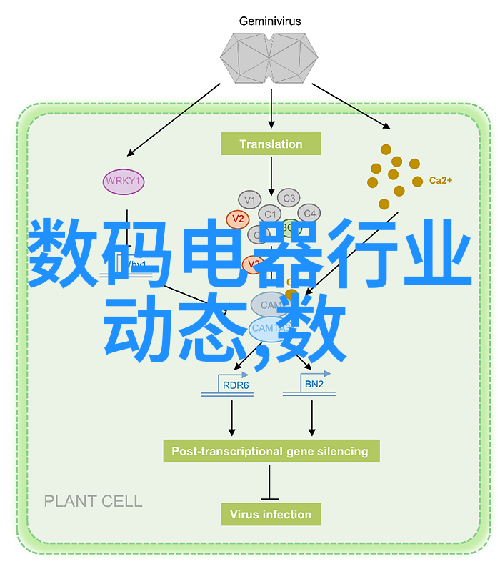 医院感染控制中的低温等离子体灭菌方法探究