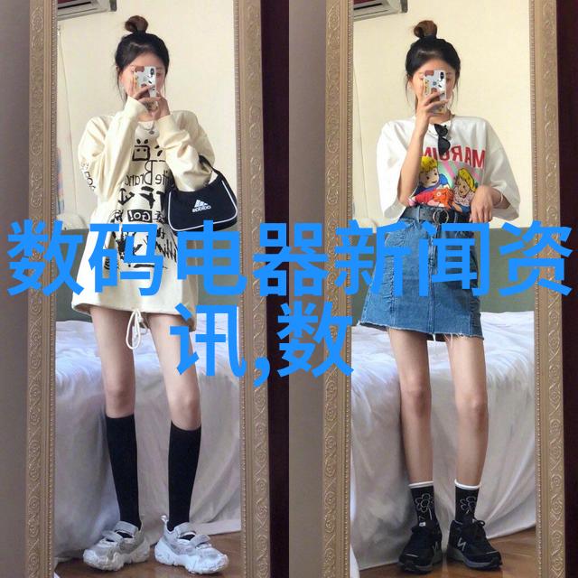 芜湖职业技术学院的国际合作与交流项目有哪些