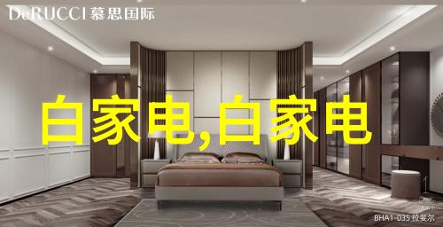 数码电器新闻资讯(智能家居设备的创新与趋势)