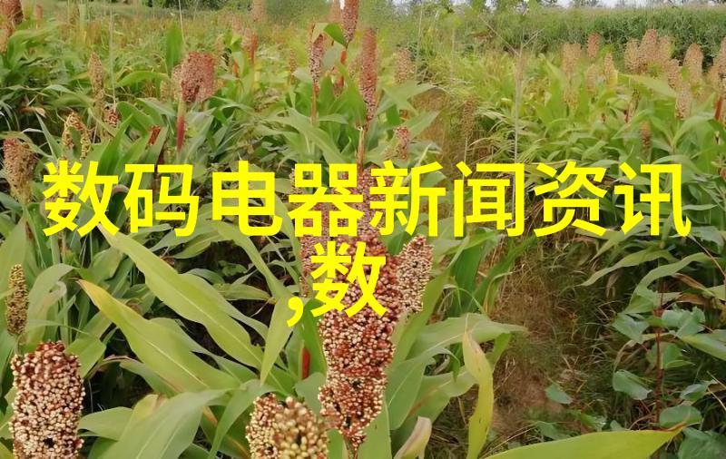 膜分离设备的原理我来告诉你怎么样就能用一层薄膜做个神器