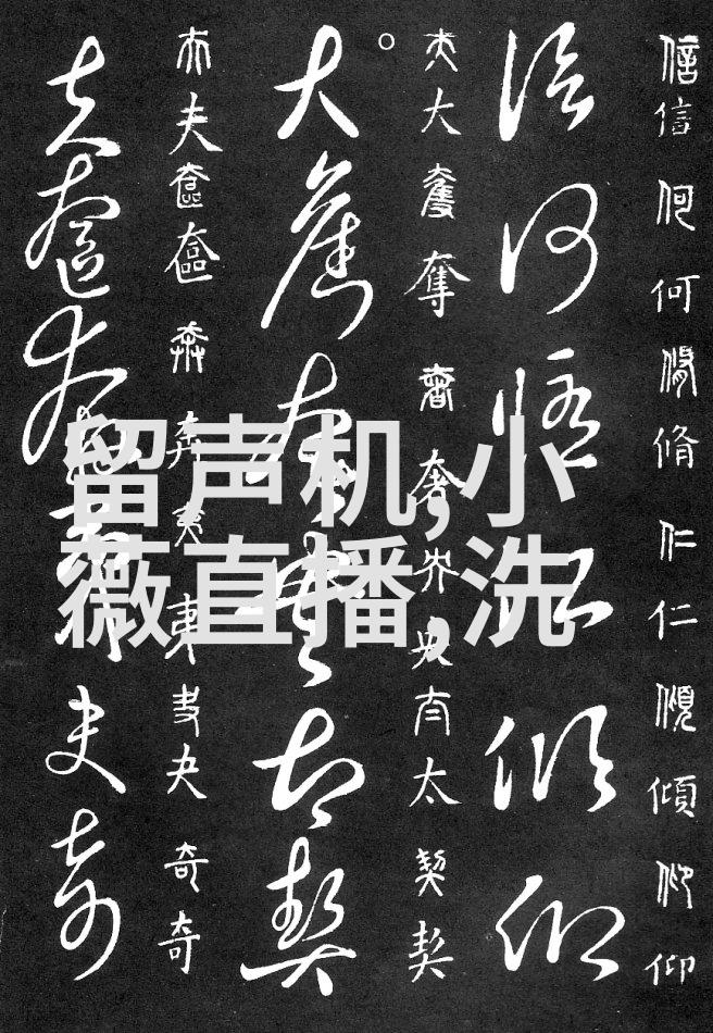 厨房小智 - 微波炉置物架提升烹饪效率的智能助手