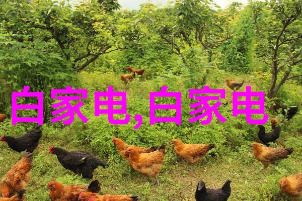 撰写完毕后还需要进行怎样的审阅和修改以确保质量