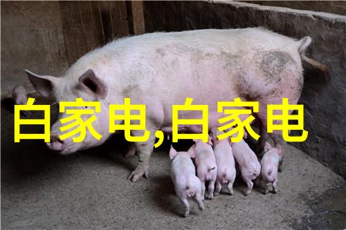 氯化钙干燥技术在食品工业中的重要性
