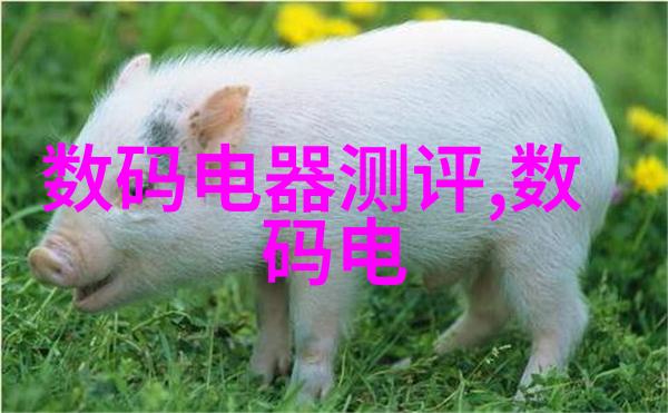 逆流之巅学水利水电的悔恨与沉浮