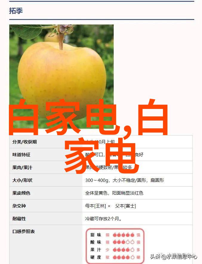 广东职业技术学院技能教育的领航者与创新孵化器