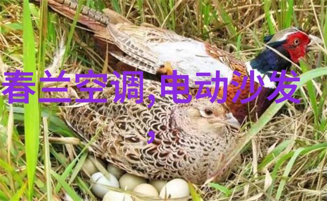砂纸的细致削研与光泽的交响曲