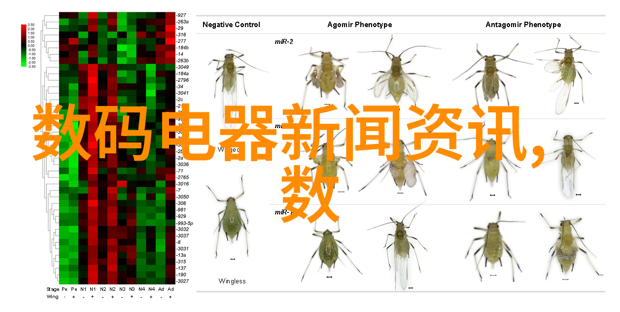 春日佳境-折花逢驿使踏青寻访与诗意传递