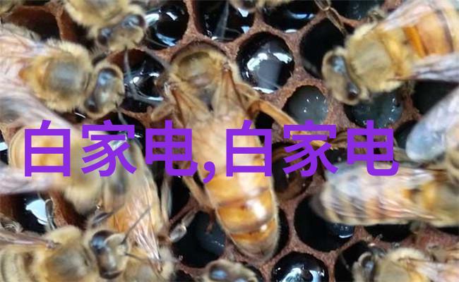通过色素反演法分析纯净水中重金属污染情况