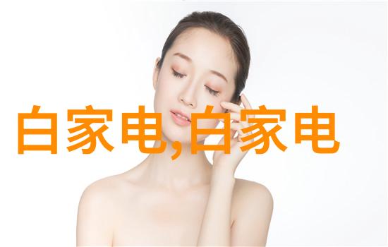输送机设备-高效运输解决方案智能化与可靠性的双重驱动