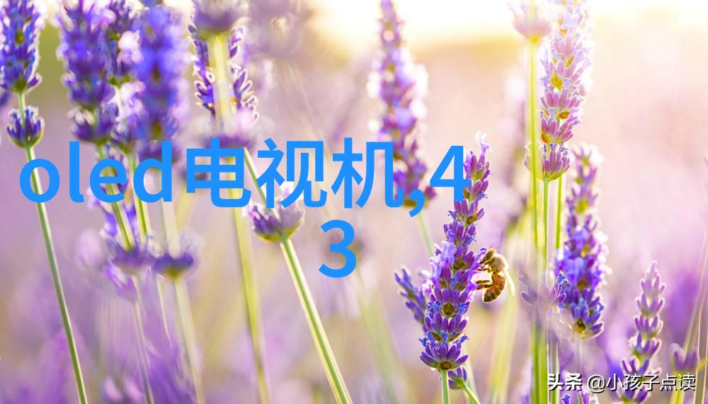机甲纹章穿梭于时空的机械衣袍