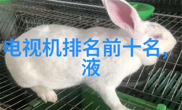 水管清晨揭秘6分PVC之谜