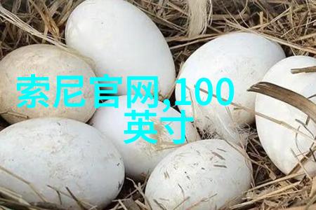 PVC管材批发市场如何选择性价比高的供应商