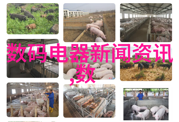 金华职业技术学院-金华职技学院培育未来技能型人才的摇篮