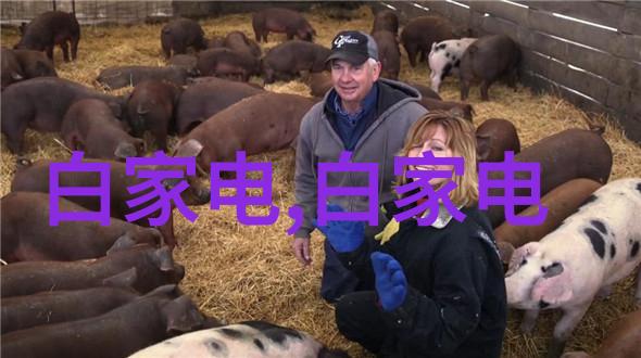 邻近工区的钢铁巨擘探索最近不锈钢加工厂的精彩世界