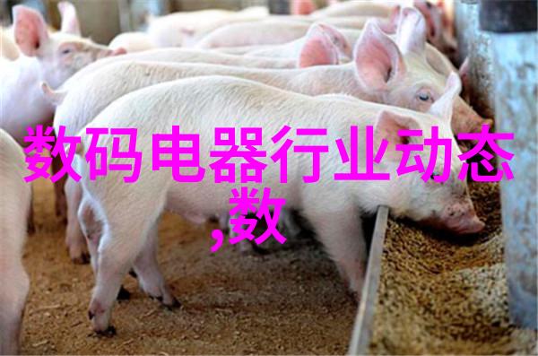 拉筋技术全身拉伸放松方法