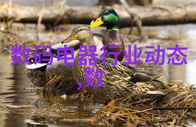 铁血智将抗日战争中的战略奇才