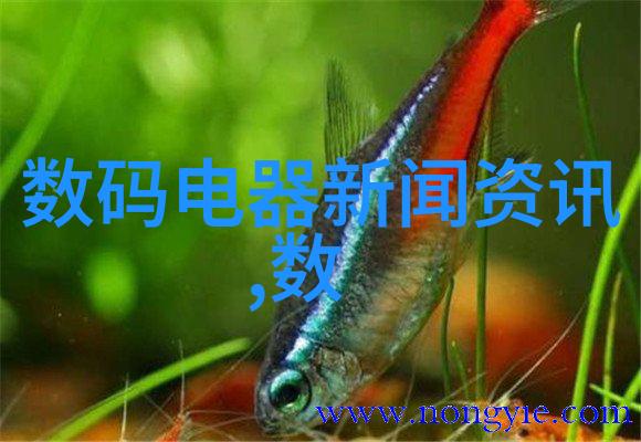信息安全测评我的数据不受侵犯的秘密武器