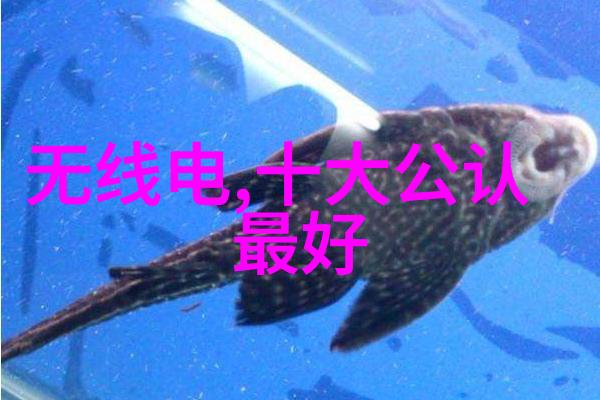 智能革命机器人的工作之王将是怎样的存在