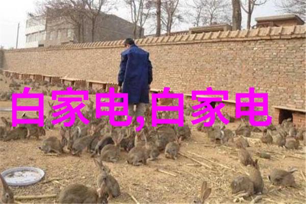 郑州财经学院筑梦财经新篇章