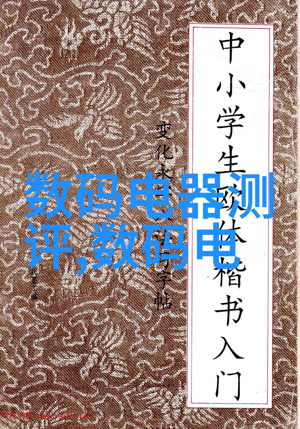 重塑消费电子界面关于项目展示了什么