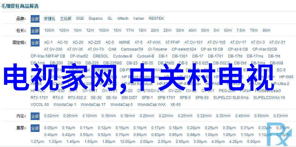 2023年述职报告个人-我在2023年的工作与成长回顾