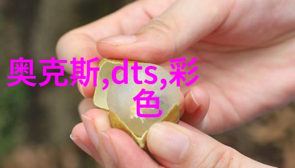 精馏塔中填料的作用探究分离效率与成本控制的双重奏鸣