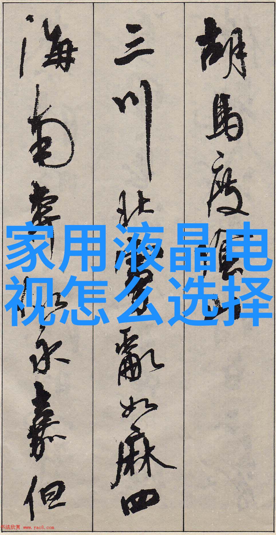 沪城洗净