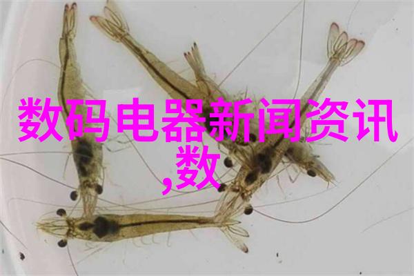 如何确保化工输送设备的安全运行与维护