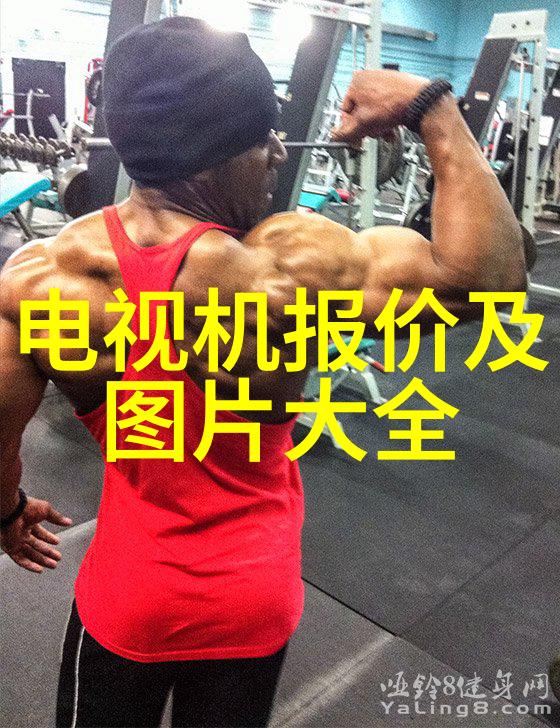 华为新品发布会2023 - 荣耀回归华为新品发布会2023的创新之旅
