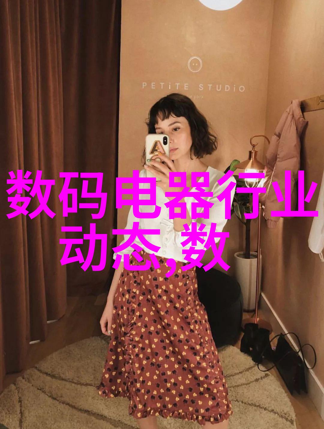 中国芯片梦想国产芯片企业的崛起与未来展望