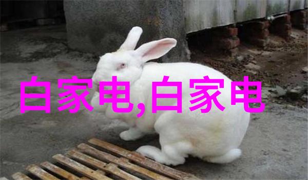 追逐时尚新风最新品色如何塑造你的个人魅力