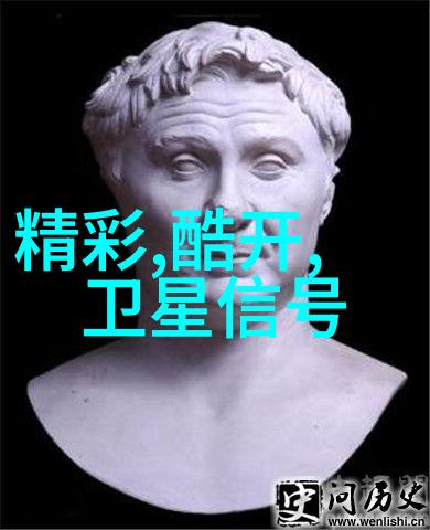 缠恋前妻-爱河纠葛前妻的回忆与新生活的抉择