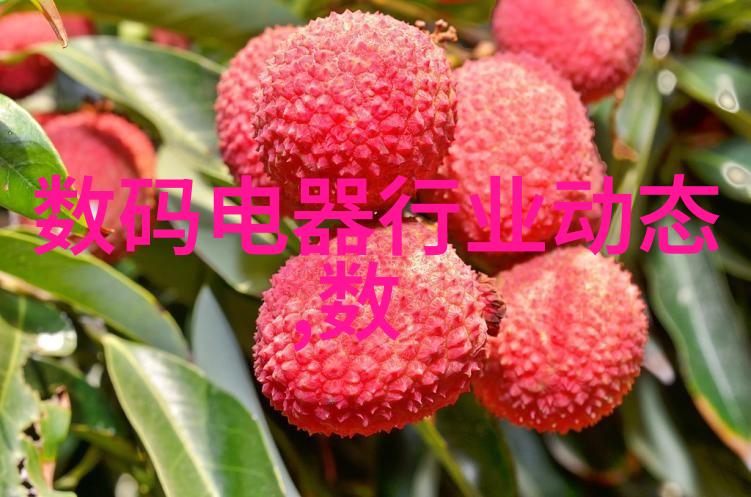 环填料的规整之道提升混凝土结构稳定性