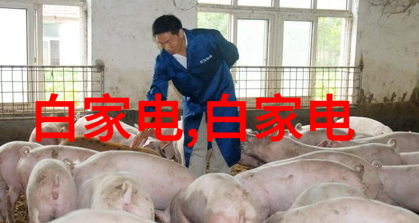 液压站我是如何在维修小厂的液压站时遇到的一系列趣事
