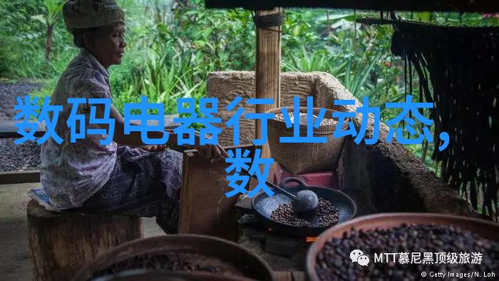 电蒸汽发生器 蒸箱能否用于大批量食品加工