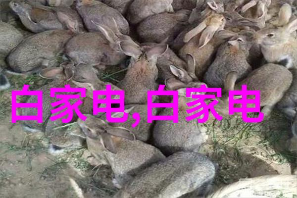 不锈钢304板价格波动时企业应该采取怎样的策略来应对