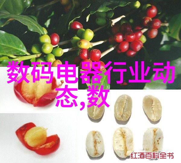 连续式干燥技术在食品工业中的应用
