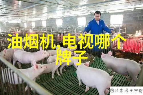 东北老女人大叫爽死啦一段关于生活琐事的幽默叙述