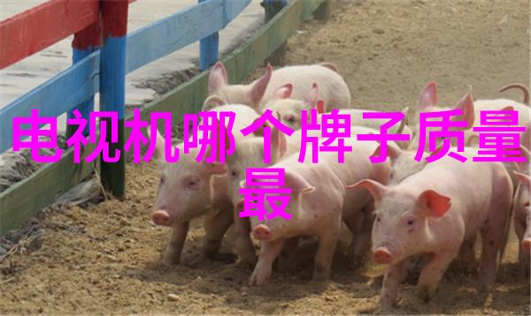 家电产品评测-三洋微波炉高效健康烹饪的智选