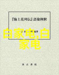 法国空姐天空中的舞者