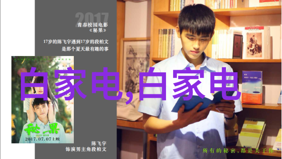 步步惊心续集下载-重燃情深步步惊心续集的秘密与魅力
