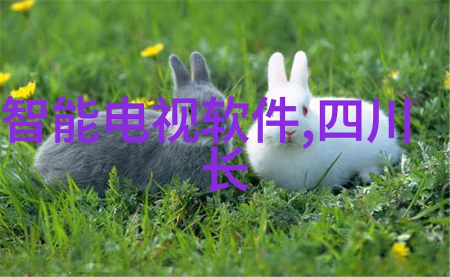 仪器检定公司在医疗行业中的重要性是什么