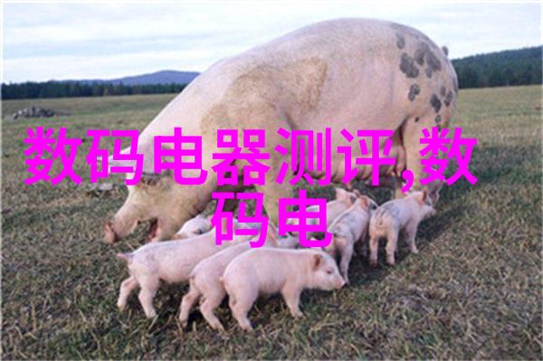 深度解析中国人保股价低迷背后的市场因素与投资策略