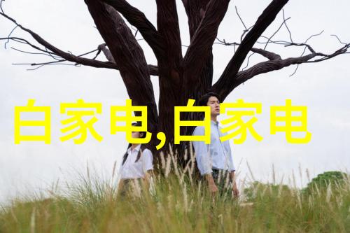 超越极限探秘特种车辆的神奇世界