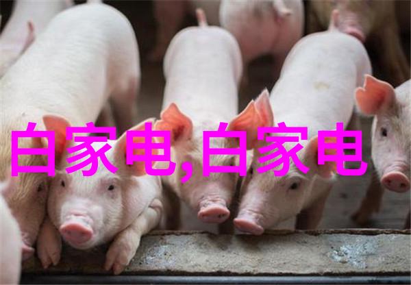 真命小和尚第二部揭秘我当年的修行日记