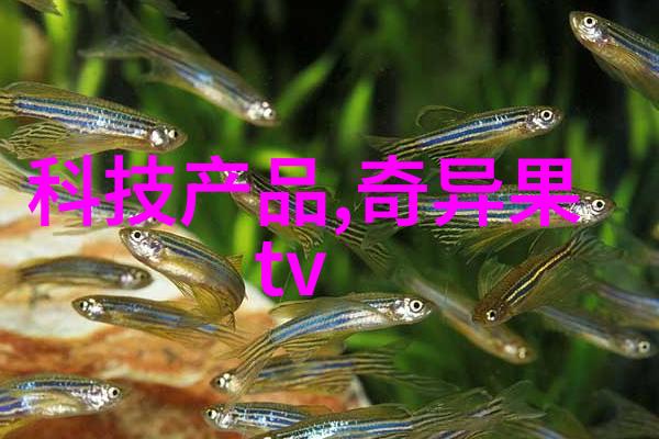 黑客帝国的新界面揭秘安卓应用市场背后的神秘力量