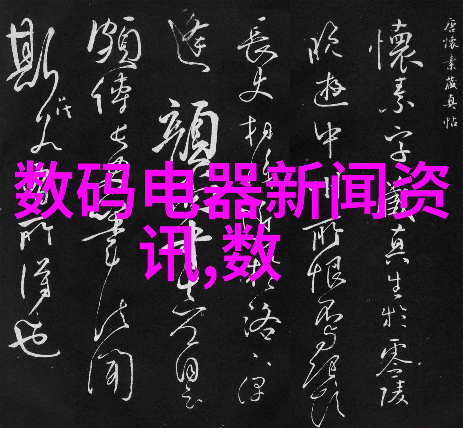 美国猪的故事从农场到餐桌的奇妙旅程