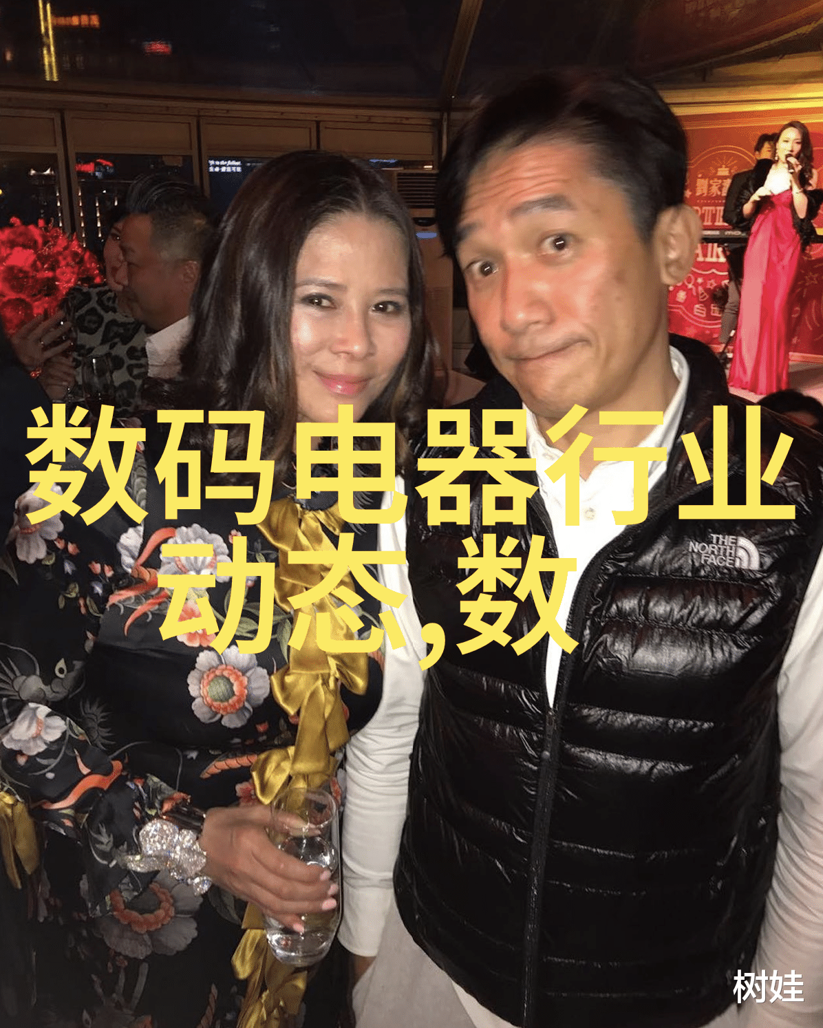 化工炮灸之谜失落的配方与隐秘的药效